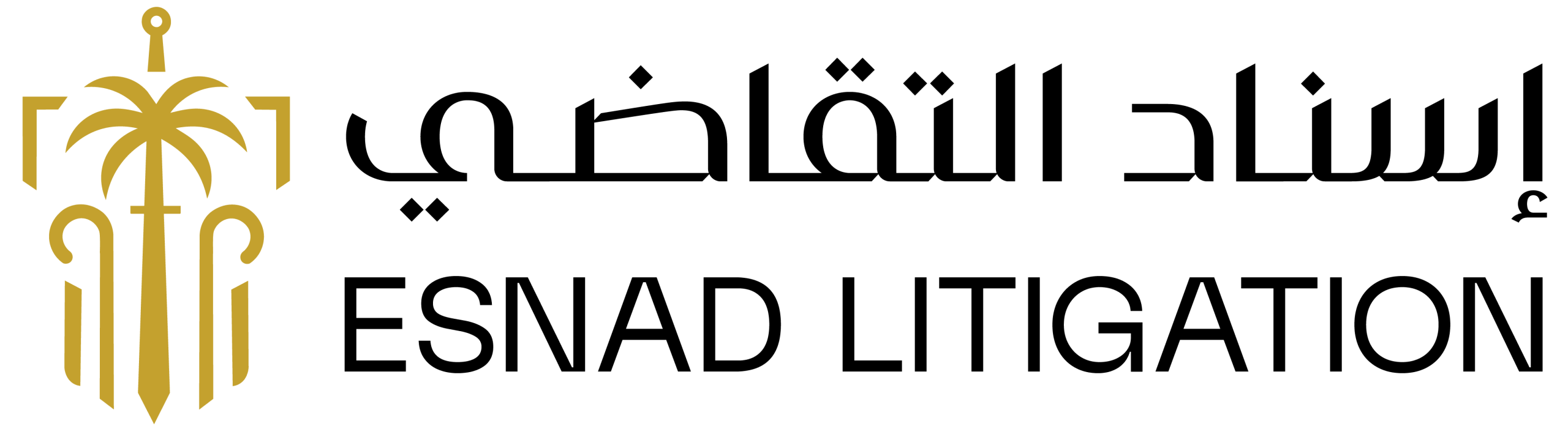 Esnad Litigation